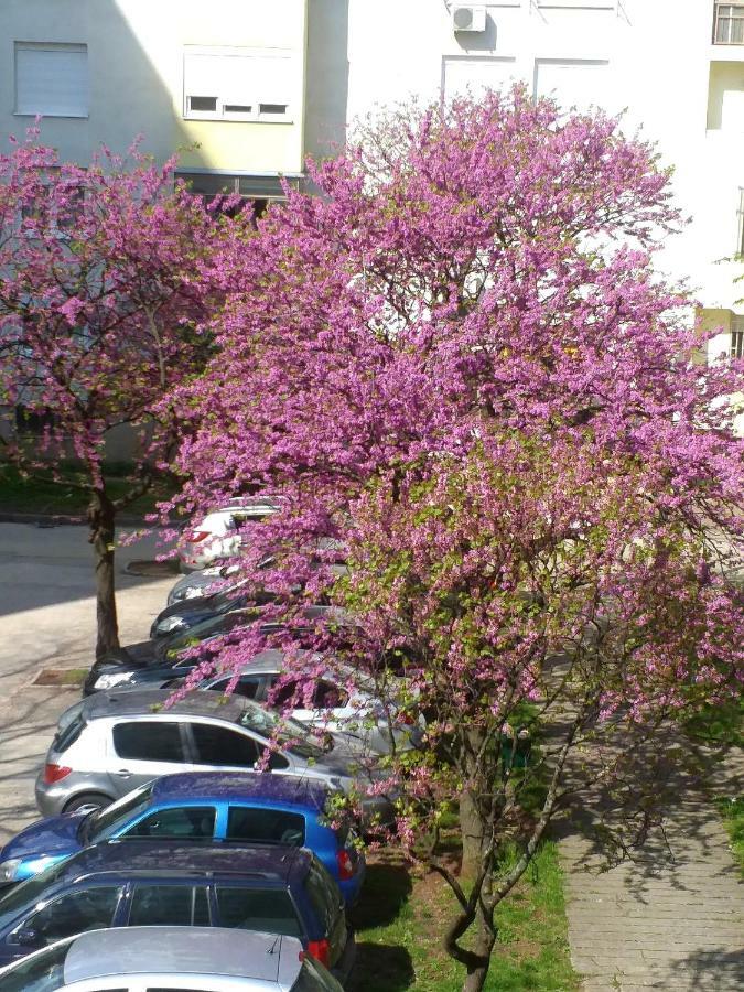 Apartman Simple Mostar Exterior photo
